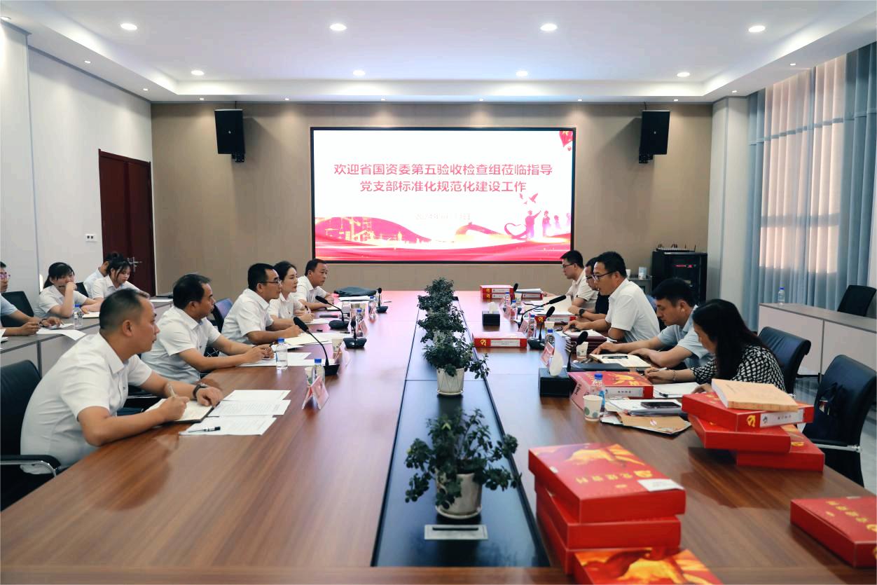 2024.8.13省國(guó)資委督導(dǎo)檢查東莊水利公司黨支部標(biāo)準(zhǔn)化規(guī)范化建設(shè)工作.jpg